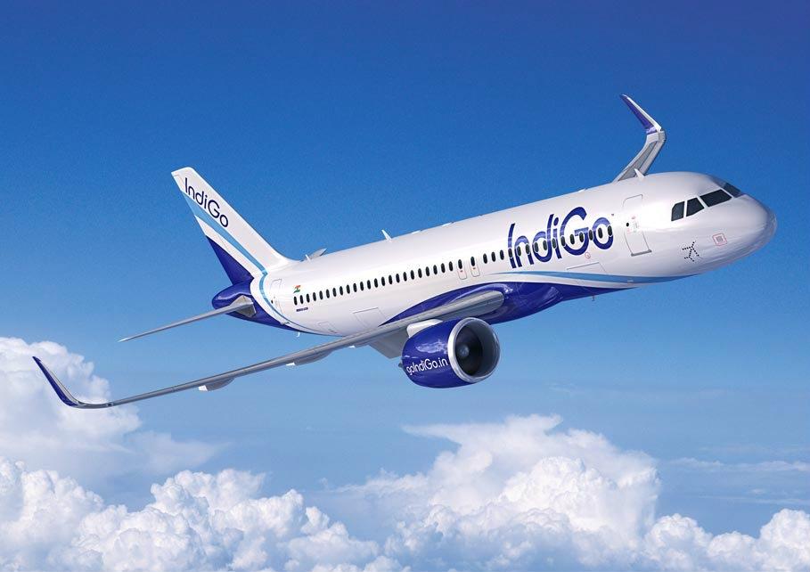 how INDIGO makes money? And how indigo became a monopoly?